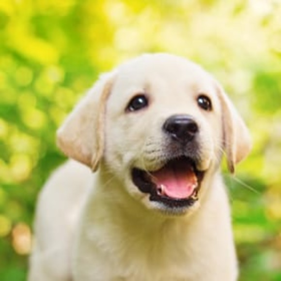 Meet your Posher. - Picture 2 of 2